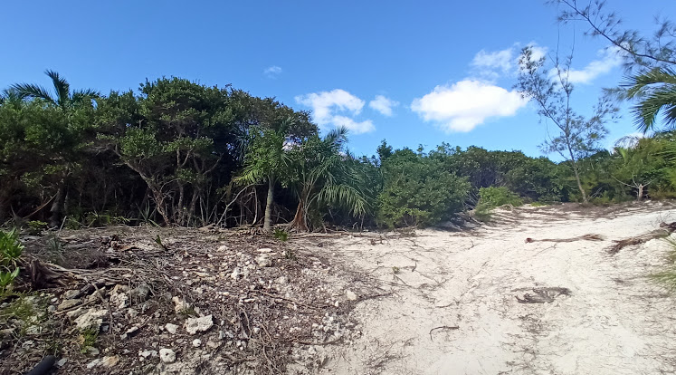 Island Hike Placeholder